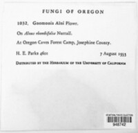 Image Associated With the Occurence
